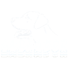 Labrador Motif Dog