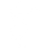 white half skull