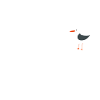 Hambourg à la mouette