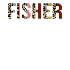 Fisher