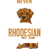 Rhodesian Ridgeback Dog