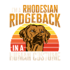 Chien Rhodesian Ridgeback