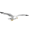 Hamburg about Seagull - white