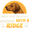 Rhodesian Ridgeback Dog