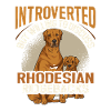 Rhodesian Ridgeback Dog