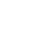 Lawyer