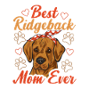 Rhodesian Ridgeback Dog