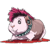 Meerschweinchen als Punker