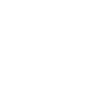 DREAM TEAM