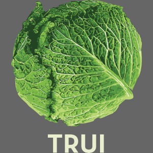 KoolTRUI