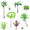 Asian Plant Patterns