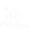 Parasaurolophus Dinosaur Lover Gift