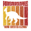 Parasaurolophus Dinosaur Lover Gift