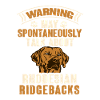 Rhodesian Ridgeback Dog