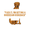 Chien Rhodesian Ridgeback