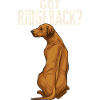 Rhodesian Ridgeback Dog