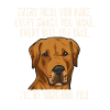 Rhodesian Ridgeback Dog