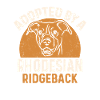 Chien Rhodesian Ridgeback