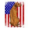 Rhodesian Ridgeback Dog