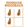 Rhodesian Ridgeback Dog