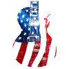 American Guitar