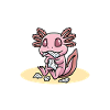 Axolotl