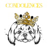 Dog with crown.