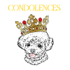 Dog with crown