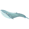 The Funny Blue Whale