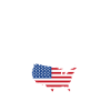 Donkey Pox Amerika Flagge Shirt