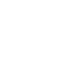 It's The Constitution Stupid