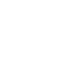 It's The Constitution Stupid