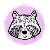 Süßer Waschbär - Portrait