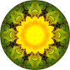 Mandala-Quantum 5