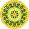 Mandala-Quantum 8