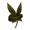 Yeah man! cannabis leaf