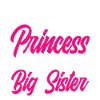 Princess Sister Baby Pregnancy