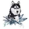 Husky-Porträt geschmückt mit Weihnachtspflanzen