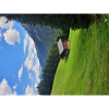 Berglandschaft