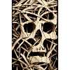 Skull Bone Artwork