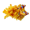 Farbnebel Clownfisch