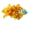 Farbnebel Pinzettfisch