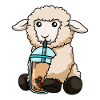 Sheep drinks bubble tea