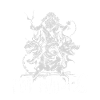 Ade Mitologia Greco Greco Antico