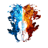 Fire Violin Flames Violoniste Violon