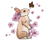 Japanese Cherry Blossom Rabbit