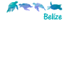 Belize Tourist Belizean Turtles