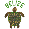 Belize Turtle