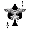 Falcon’s spade.