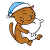 Katze Katzenrasse Abessinierkatze